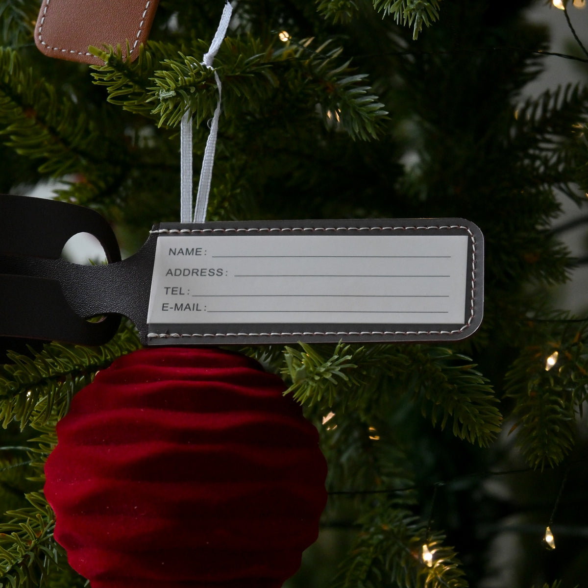 Personalised Slip Through Luggage Tag Singapore
